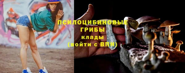 дживик Алексин